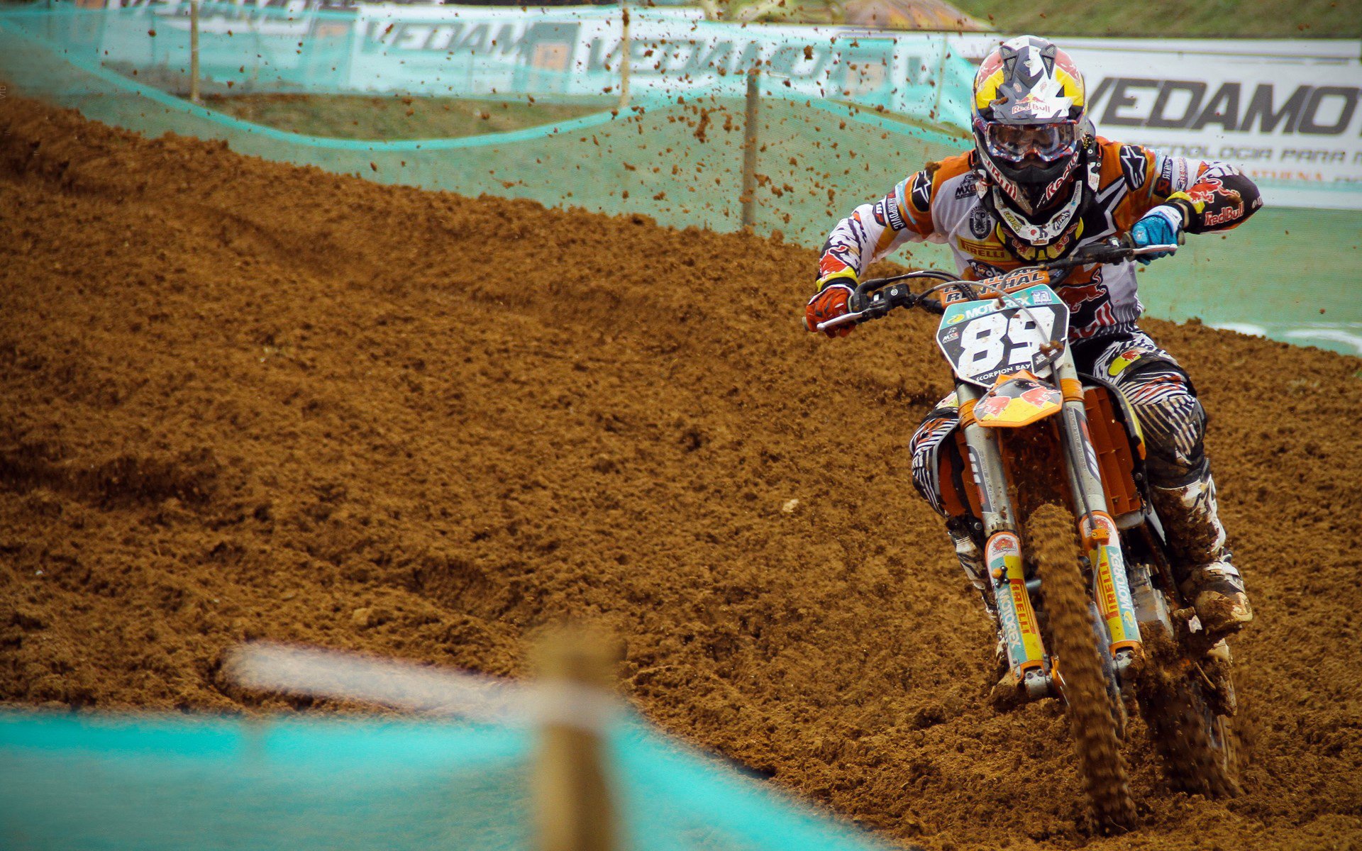 新球场设计方案正式公布